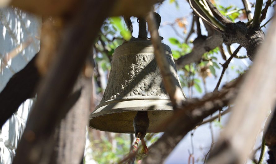 Ce este o campanie de dezinformare