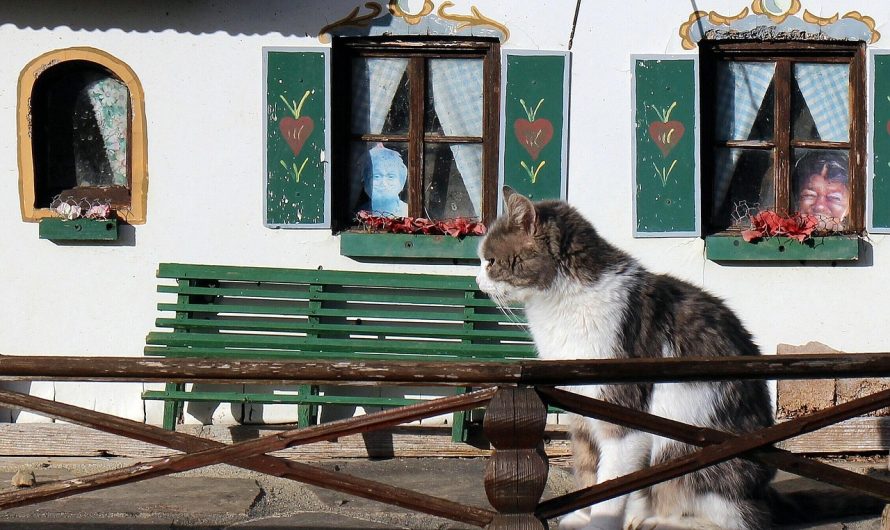 Acte necesare pentru schimbarea buletinului la schimbarea domiciliului