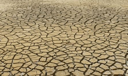 AI pentru prognoze meteo