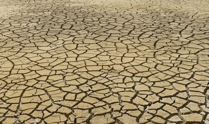 Cum este folosit AI pentru prognoze meteo